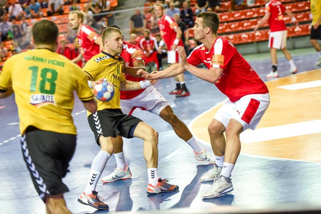 Europos vyrų rankinio čempionato atranka: Lietuva – Danija
