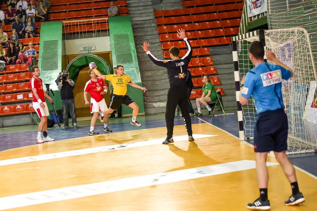 Europos vyrų rankinio čempionato atranka: Lietuva – Danija