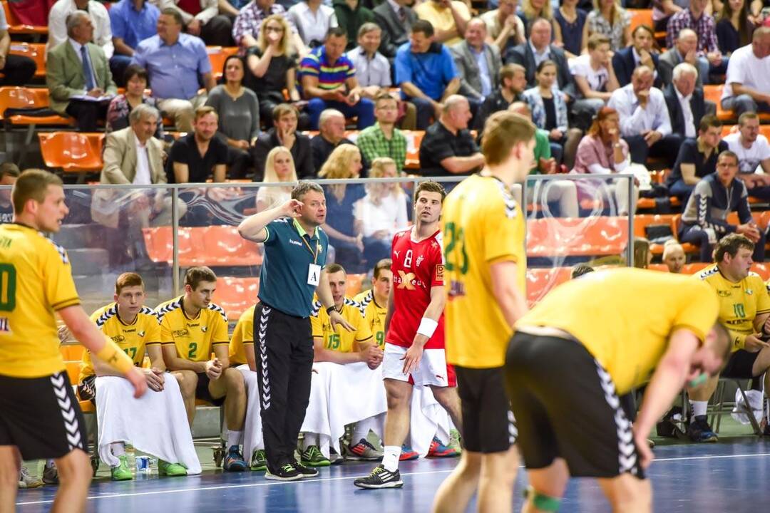 Europos vyrų rankinio čempionato atranka: Lietuva – Danija