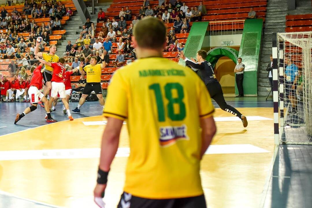 Europos vyrų rankinio čempionato atranka: Lietuva – Danija