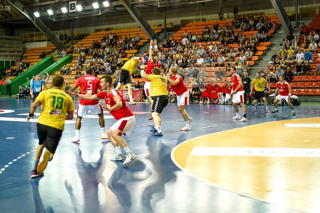 Europos vyrų rankinio čempionato atranka: Lietuva – Danija
