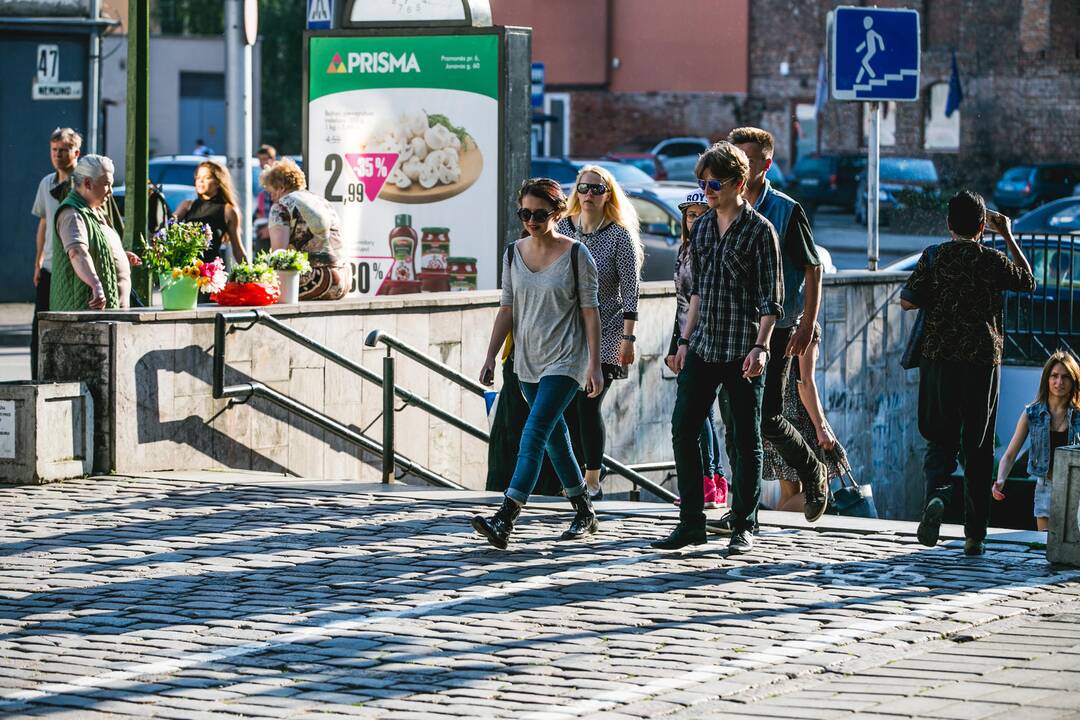 Pardavinėjamų pakalnučių inspektoriai nepastebi