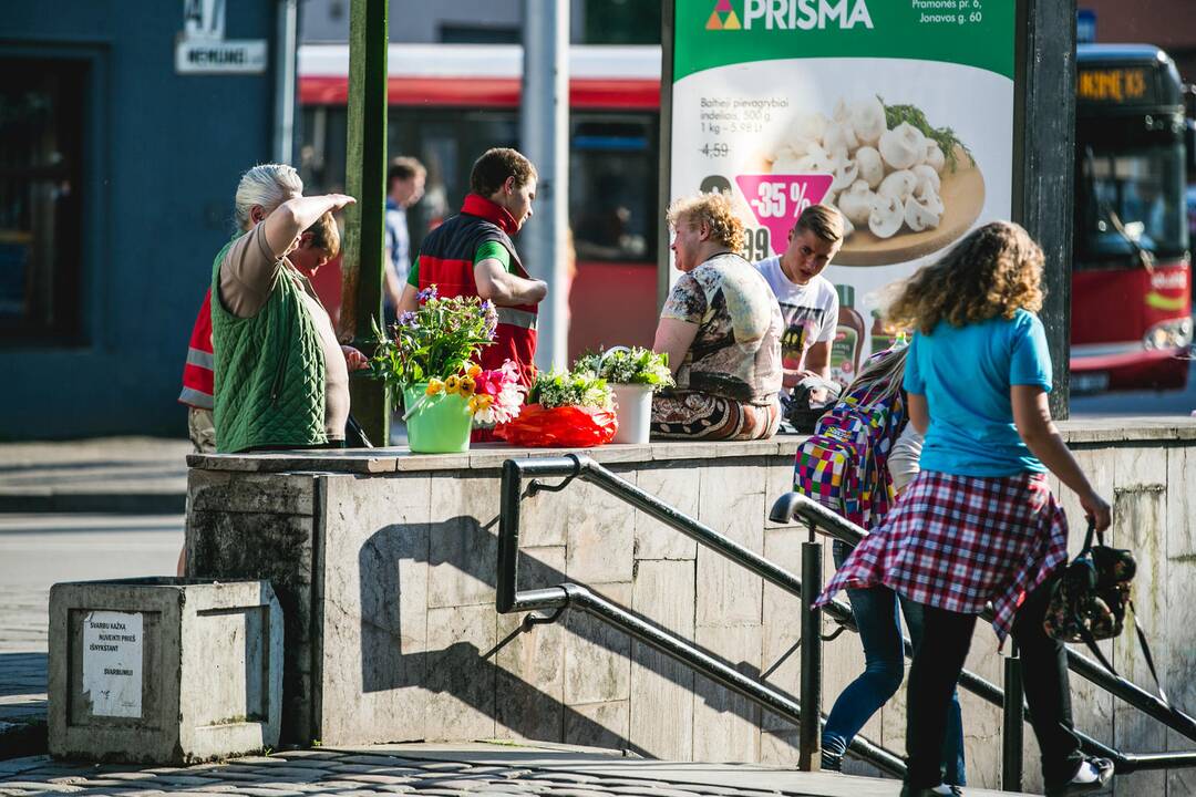 Pardavinėjamų pakalnučių inspektoriai nepastebi