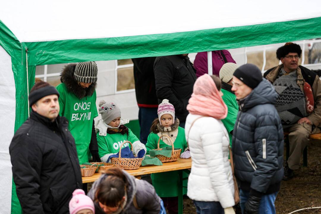 Užgavėnių šventė VDU Kauno botanikos sode