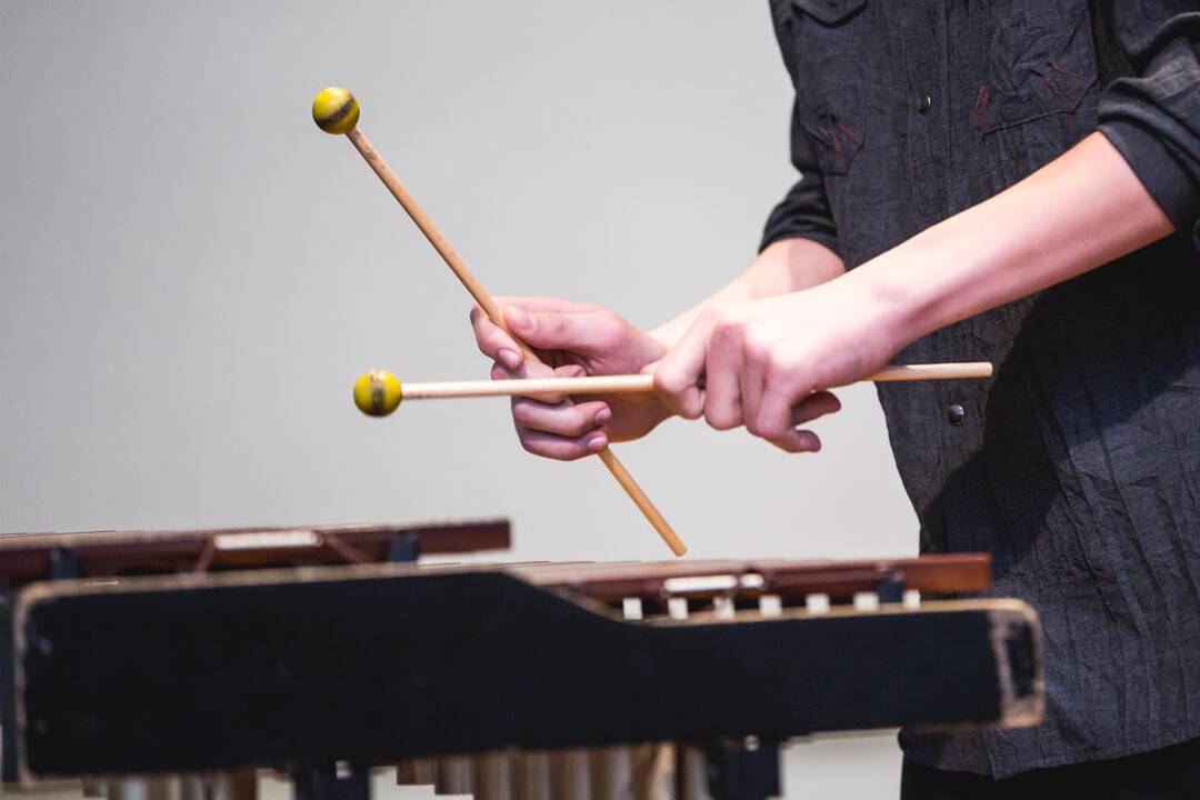 A. Kačanausko muzikos mokykla išlydėjo 42-ąją mokinių laidą