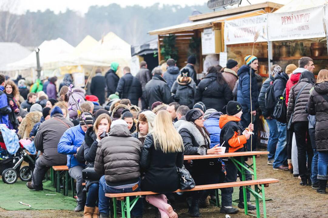 Užgavėnės Rumšiškėse
