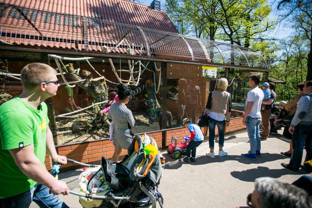 Zoologijos sodo sezono atidarymas