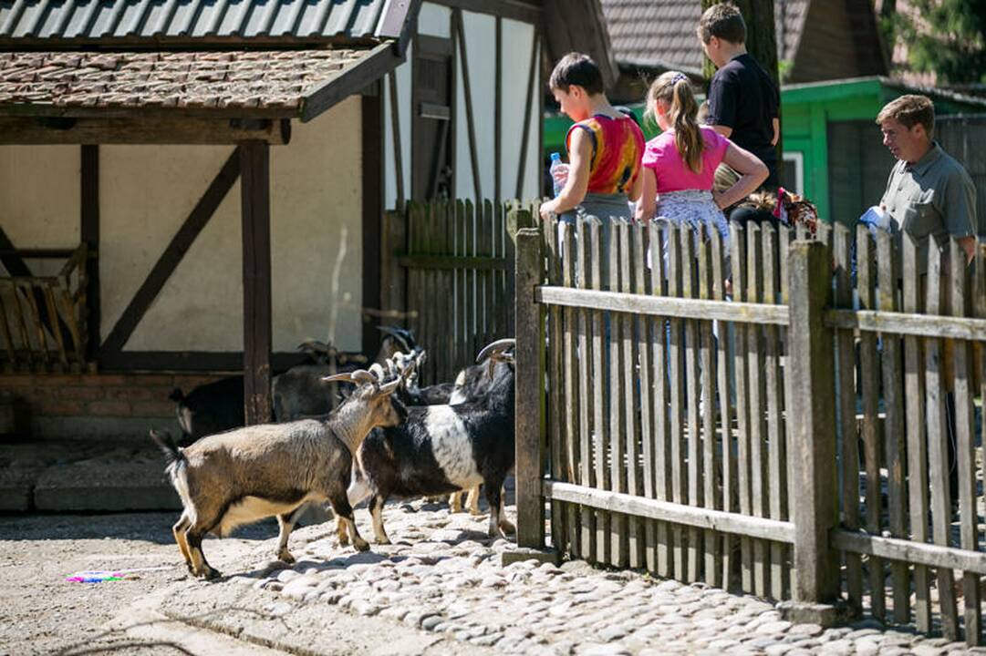 Zoologijos sodo sezono atidarymas