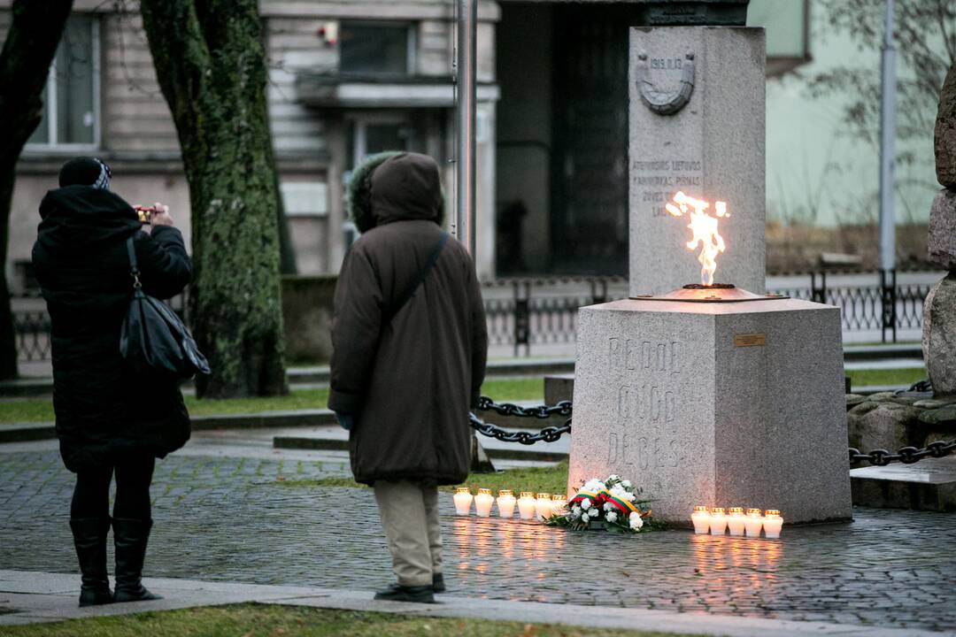 Kaune vyko pilietiškumo akcija „Sveika būk, Laisve!" 