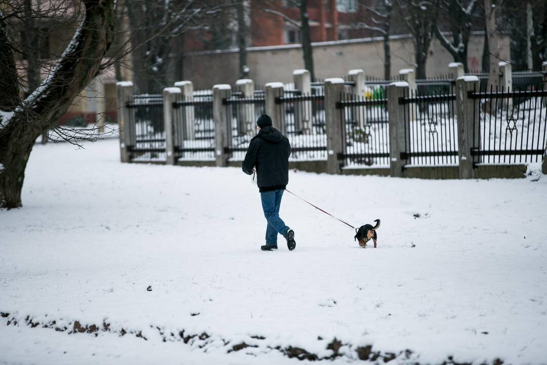 Sniegas Kauno keliuose
