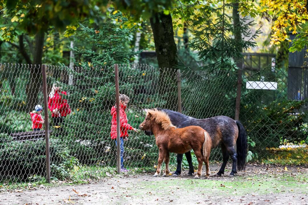 Šeštadienis Lietuvos zoologijos sode