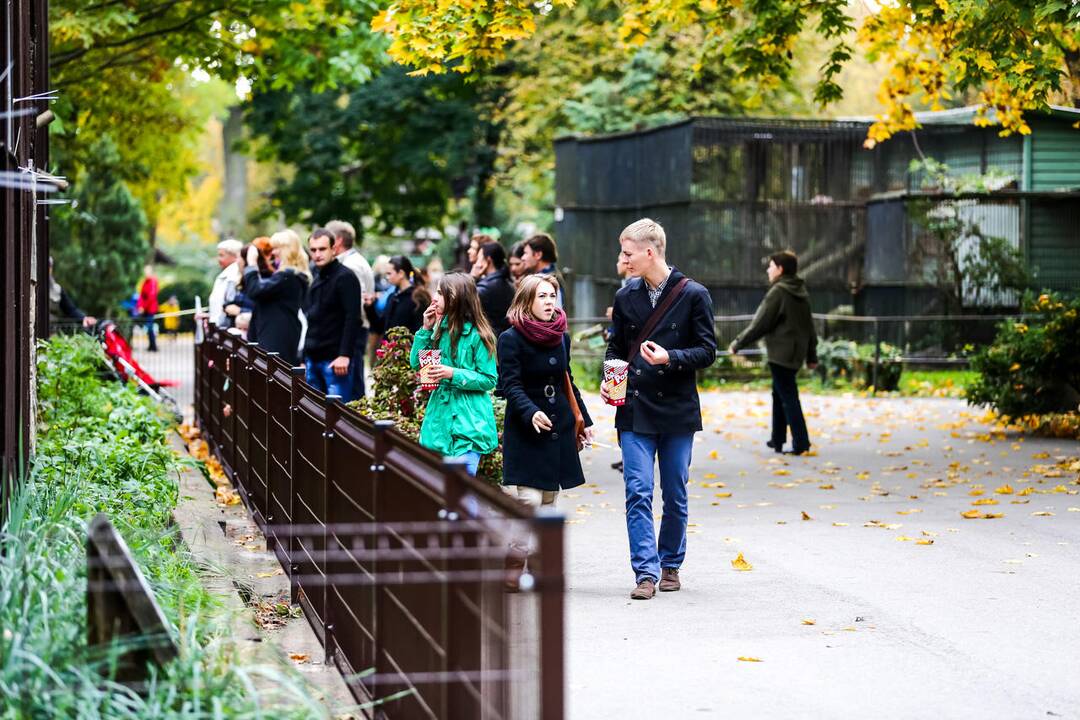 Šeštadienis Lietuvos zoologijos sode