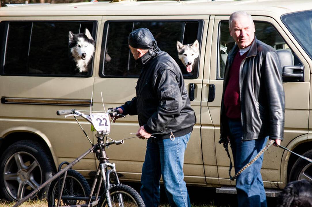 Šunų kinkinių varžybos Jadagonyse