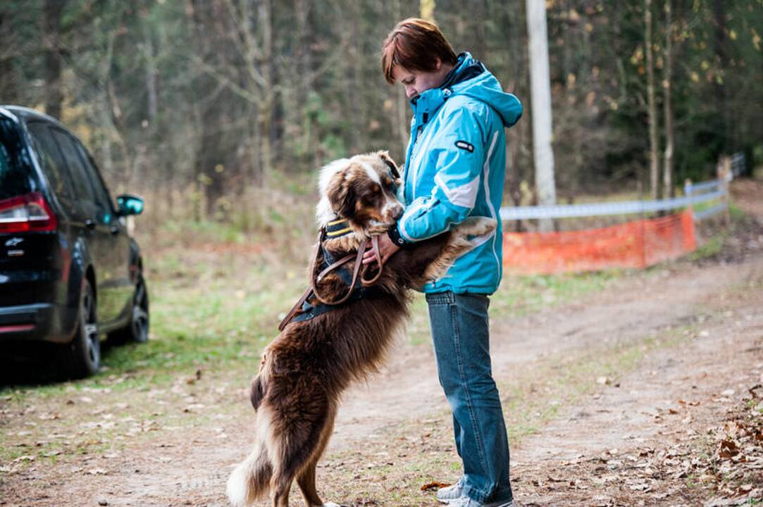 Šunų kinkinių varžybos Jadagonyse