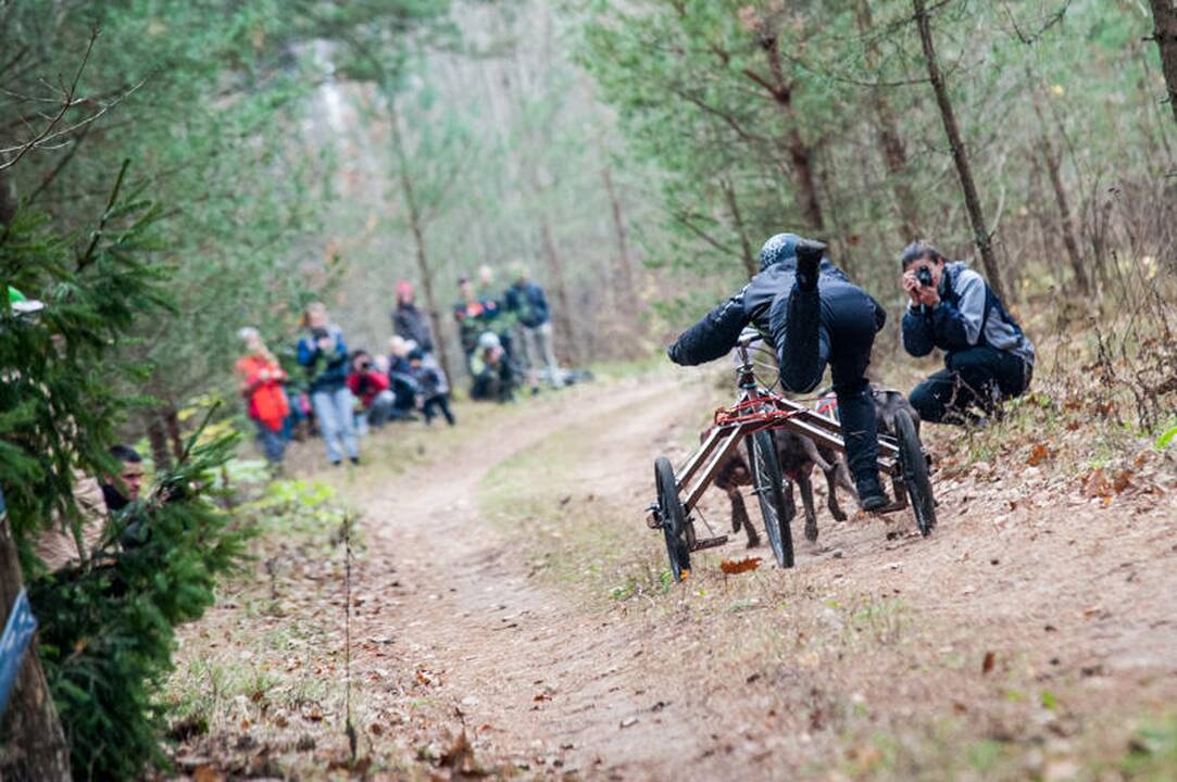 Šunų kinkinių varžybos Jadagonyse