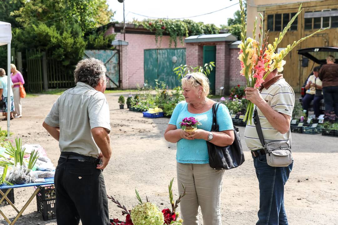 Mugė botanikos sode "Pakalnutės uoga"