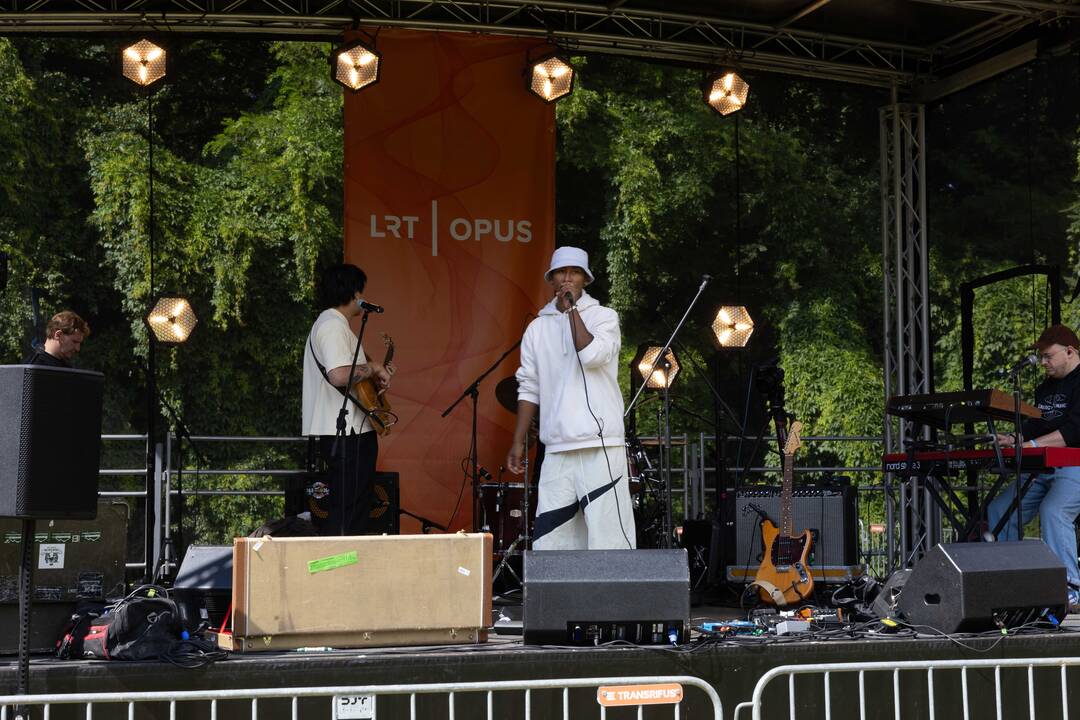 „Audros“ festivalis Ąžuolyne