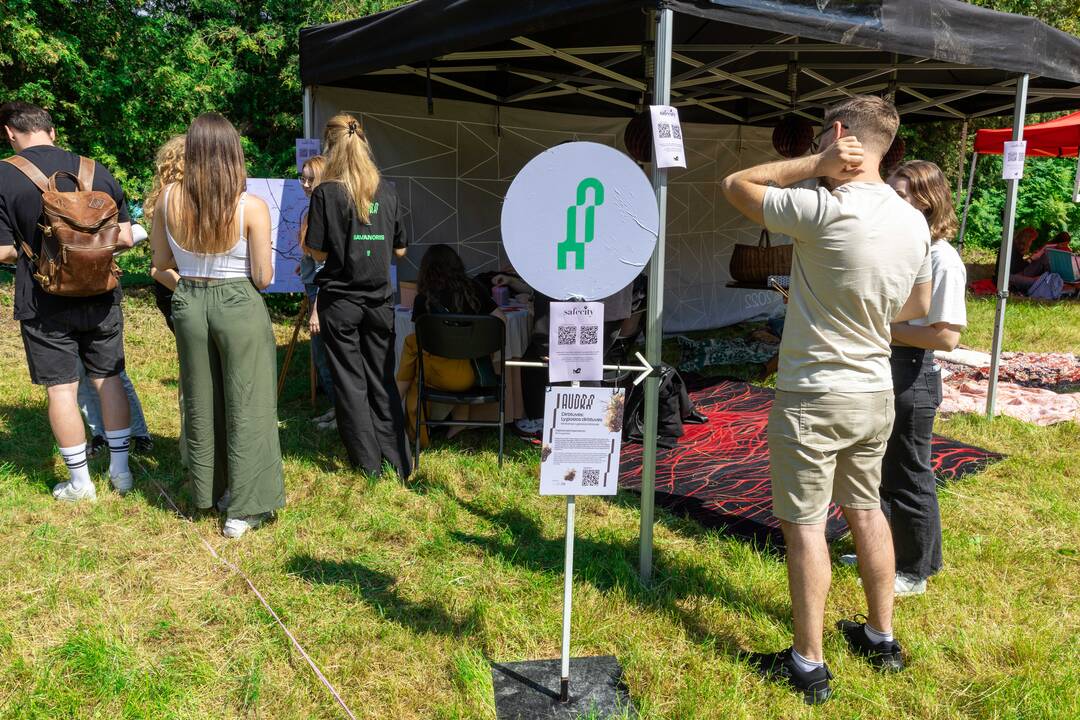 „Audros“ festivalis Ąžuolyne