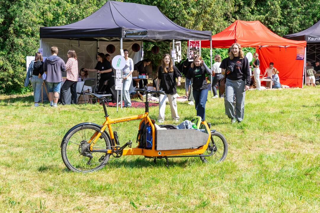 „Audros“ festivalis Ąžuolyne