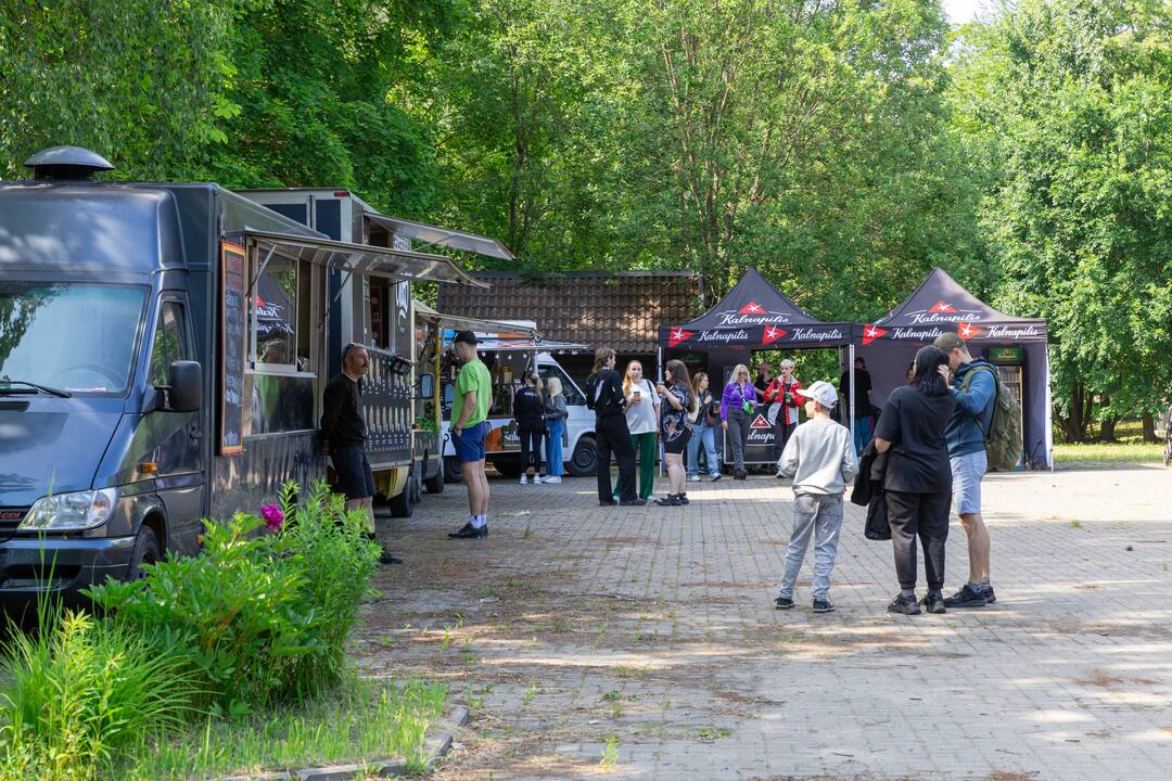 „Audros“ festivalis Ąžuolyne