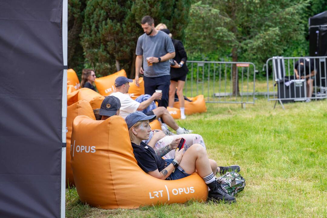 „Audros“ festivalis Ąžuolyne
