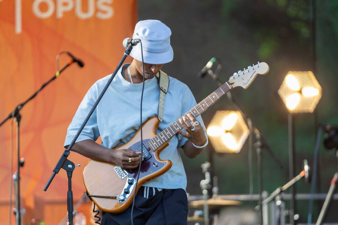 „Audros“ festivalis Ąžuolyne