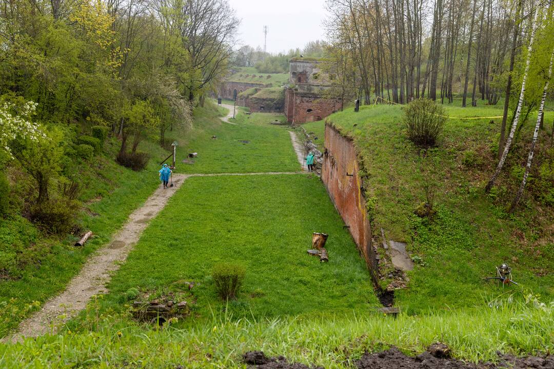Talka III forte