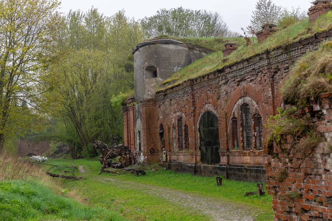 Talka III forte
