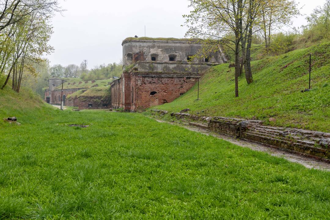 Talka III forte