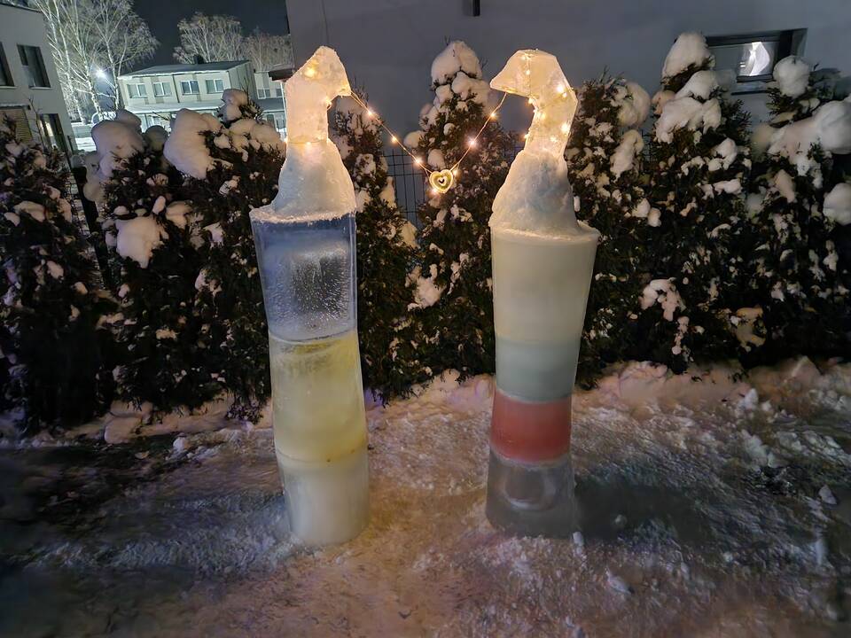 Vytis Lasys