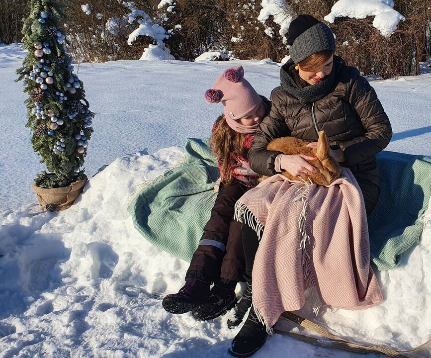 Komanda: mama Laura, vyresnėlė dukra Elenytė, tėtis Andrius ir mažoji Adelė visada turi ką veikti. Todėl karantinas šios šeimos nevaržo – jie džiaugiasi galėdami daugiau laiko praleisti drauge.