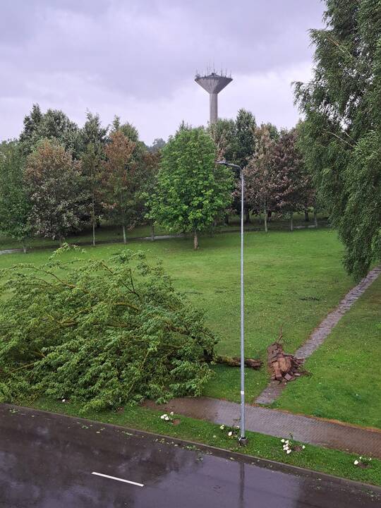 Šalį talžo liūtis, virsta medžiai