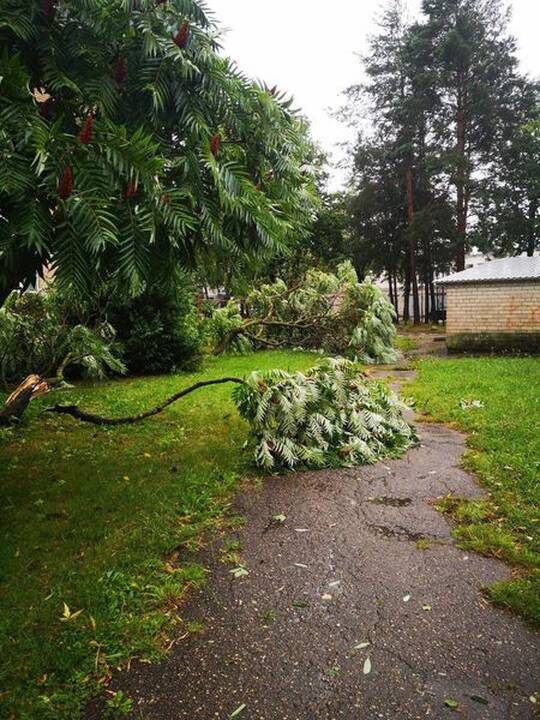 Šalį talžo liūtis, virsta medžiai