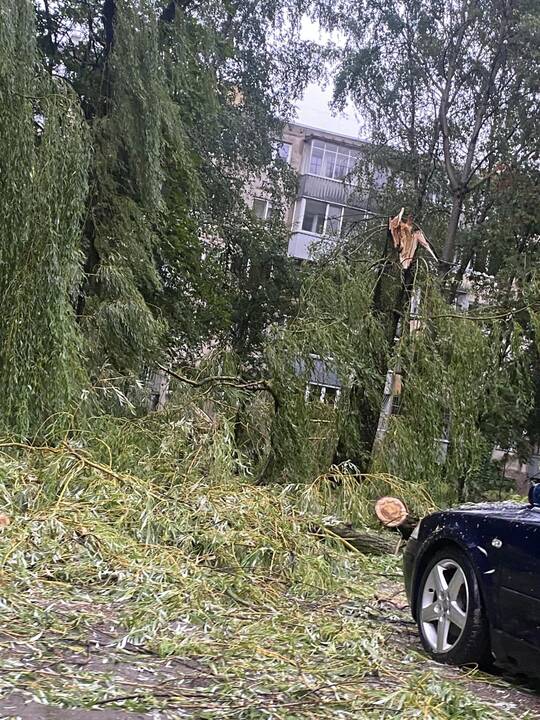 Šalį talžo liūtis, virsta medžiai
