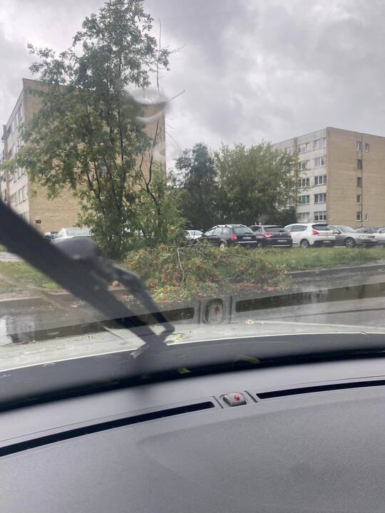 Šalį talžo liūtis, virsta medžiai