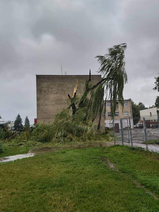 Šalį talžo liūtis, virsta medžiai