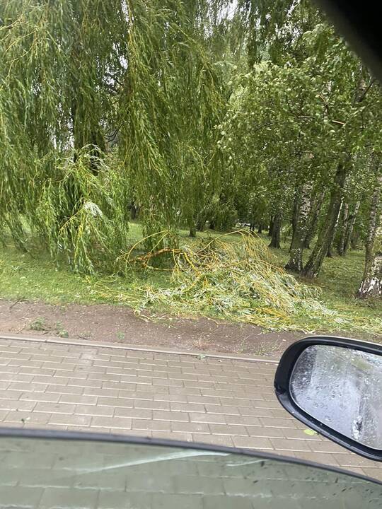 Šalį talžo liūtis, virsta medžiai