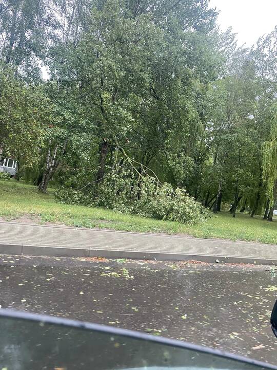 Šalį talžo liūtis, virsta medžiai