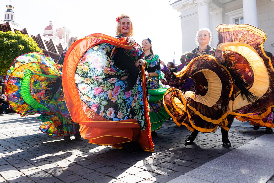 Kasmetinė tarptautinio romų festivalio „Gypsy Fest“ eisena