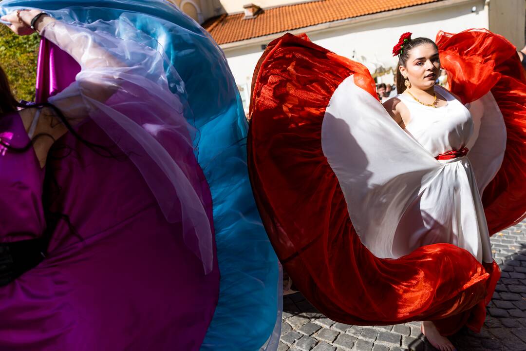 Kasmetinė tarptautinio romų festivalio „Gypsy Fest“ eisena