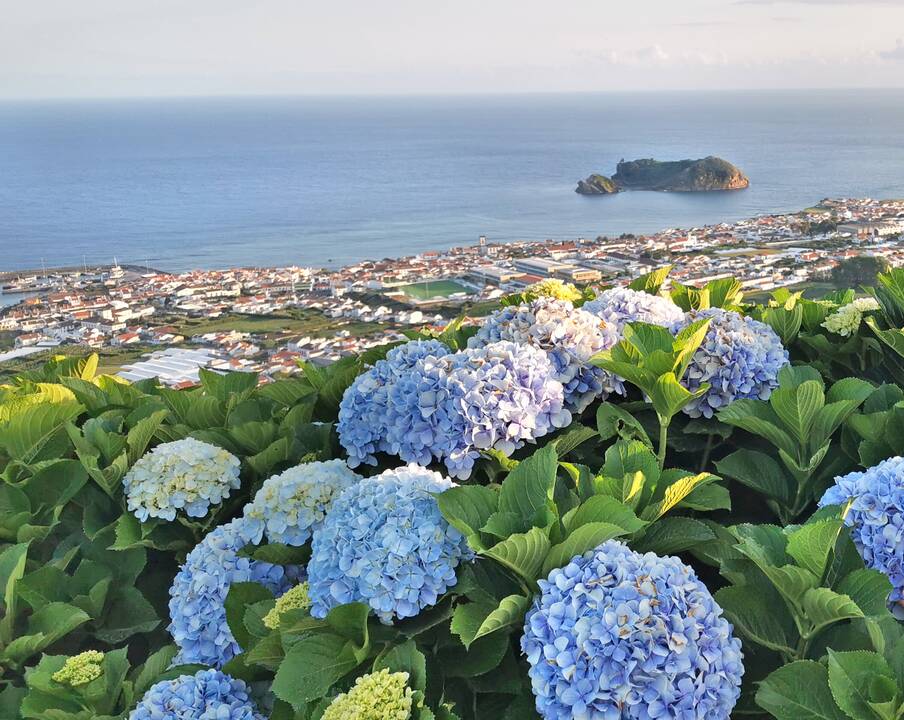 Spalvotai: vienas daugiausia fotografuojamų pasaulio vaizdų atsiveria nuo Boca do Inferno apžvalgos aikštelės.