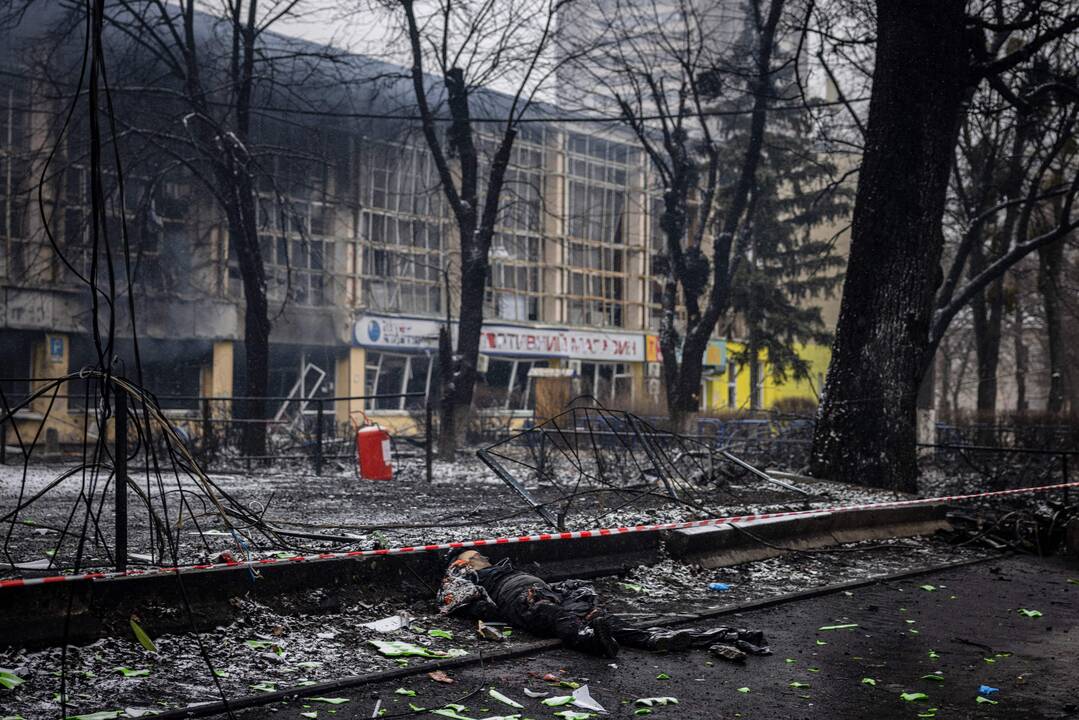 Septintoji karo Ukrainoje diena