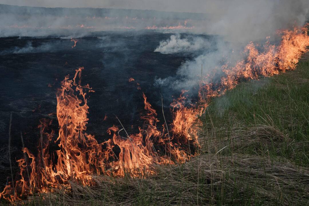 Šešiasdešimt šeštoji karo Ukrainoje diena