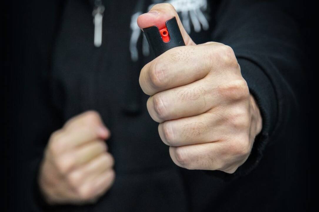Į butą įsibrovę du vyrai sumušė ir apvogė merginą