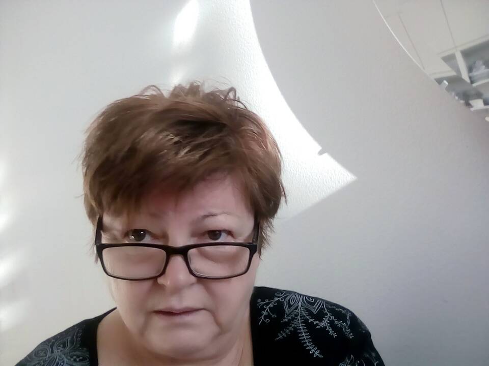 Pažanga: išskirtiniais posovietinio periodo pokyčiais dr. J.Staniškytė laiko naujos kritikos funkcijas ir metodus, kritikų inicijuojamus meno reiškinius.