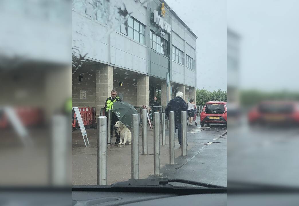 Poelgis tirpdo širdis: apsaugininkas šuniui atidavė skėtį, o pats stovėjo po lietumi