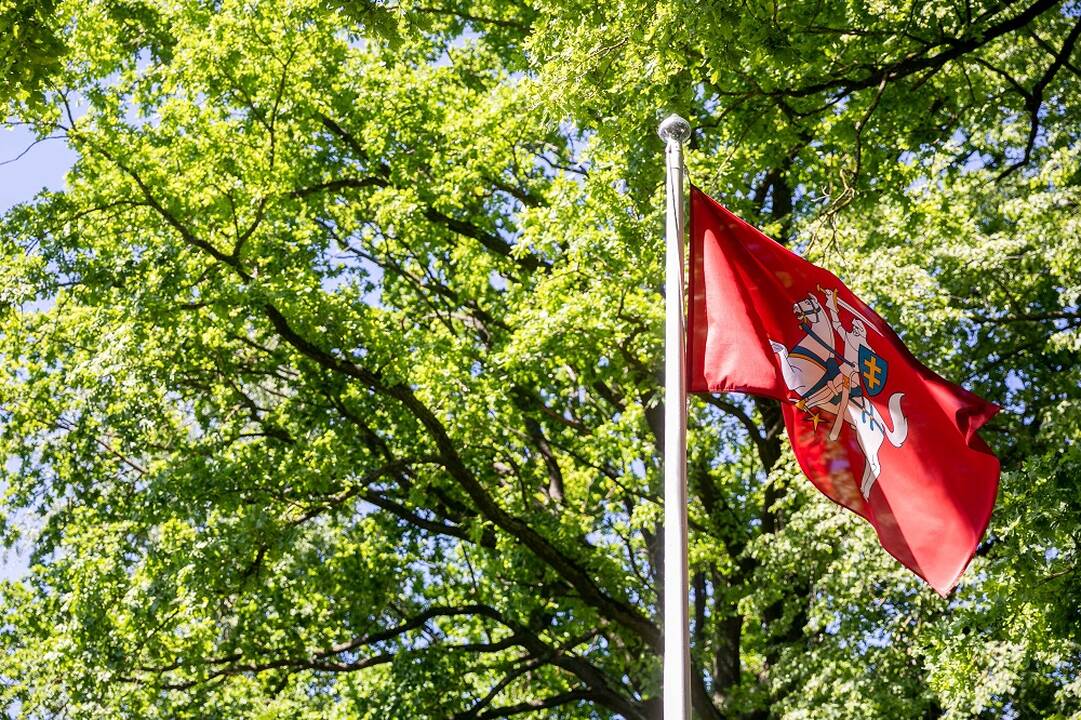 Siūlo privalomai kelti istorinę vėliavą pasienyje, liepos 6-ąją – prie valstybės pastatų