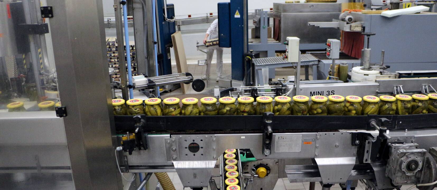 Darbymetis: Kėdainių konservų fabrike tik vieną kartą per metus vykstantys agurkų konservavimo darbai įprastai trunka apie pusantro ar du mėnesius.