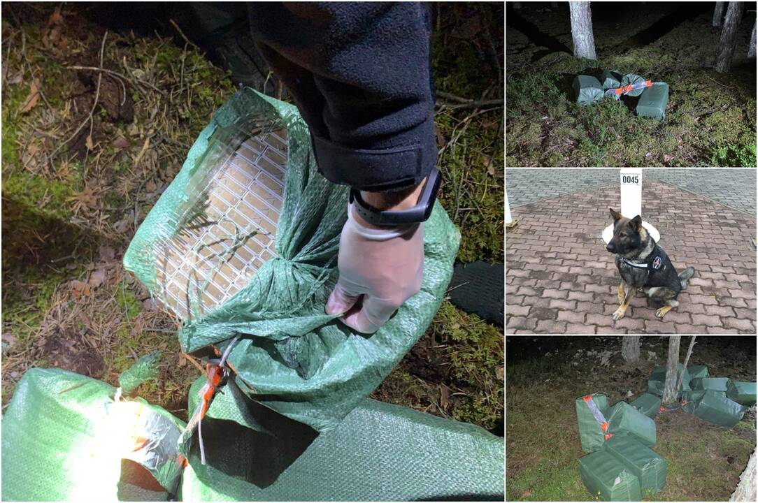 Pasienyje su Baltarusija įkliuvo kontrabandinių cigarečių krovinį nešęs alytiškis