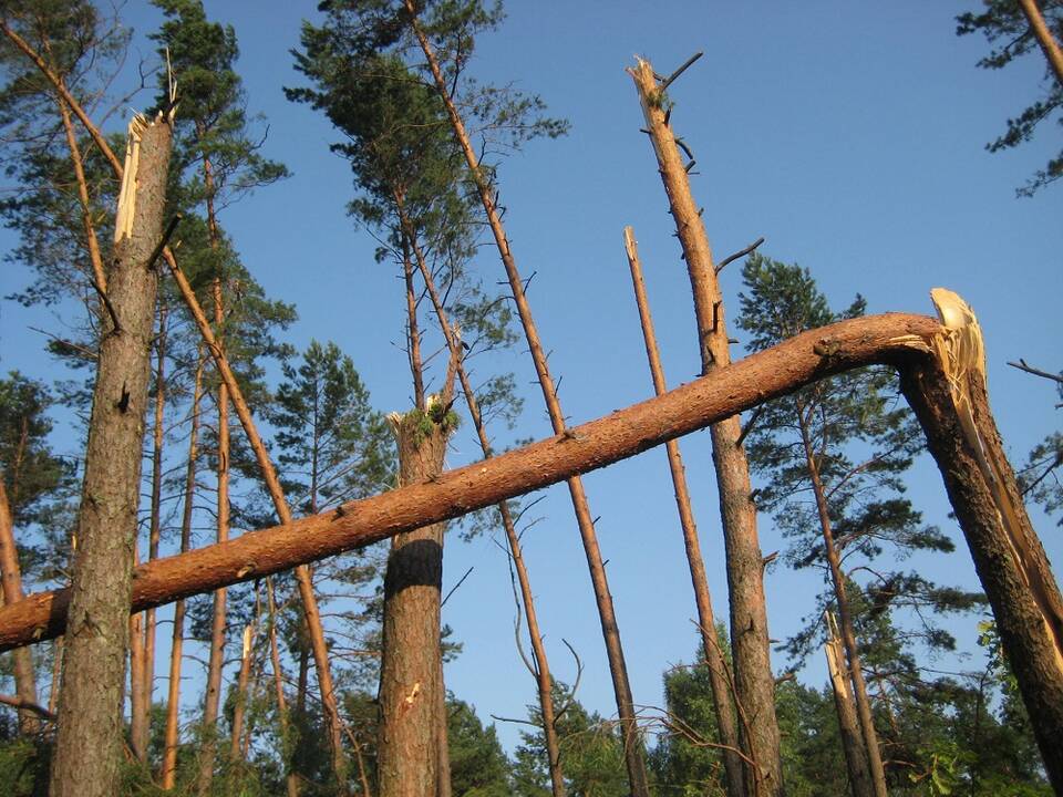 Asociatyvi nuotr.